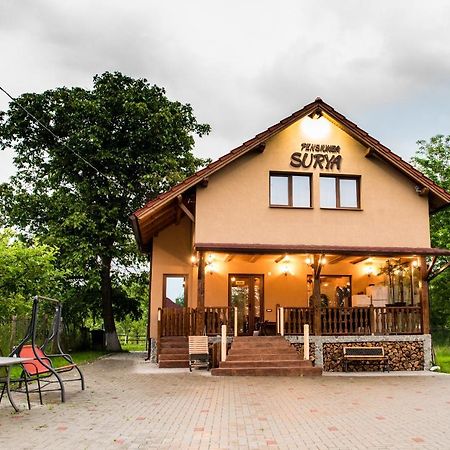 Pensiunea Surya Ludestii de Jos Экстерьер фото
