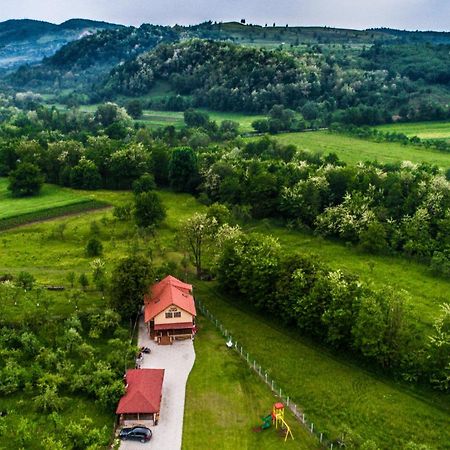 Pensiunea Surya Ludestii de Jos Экстерьер фото